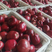 Chinese Sweet Taste Fresh Delicious Red huaniu apples wholesale